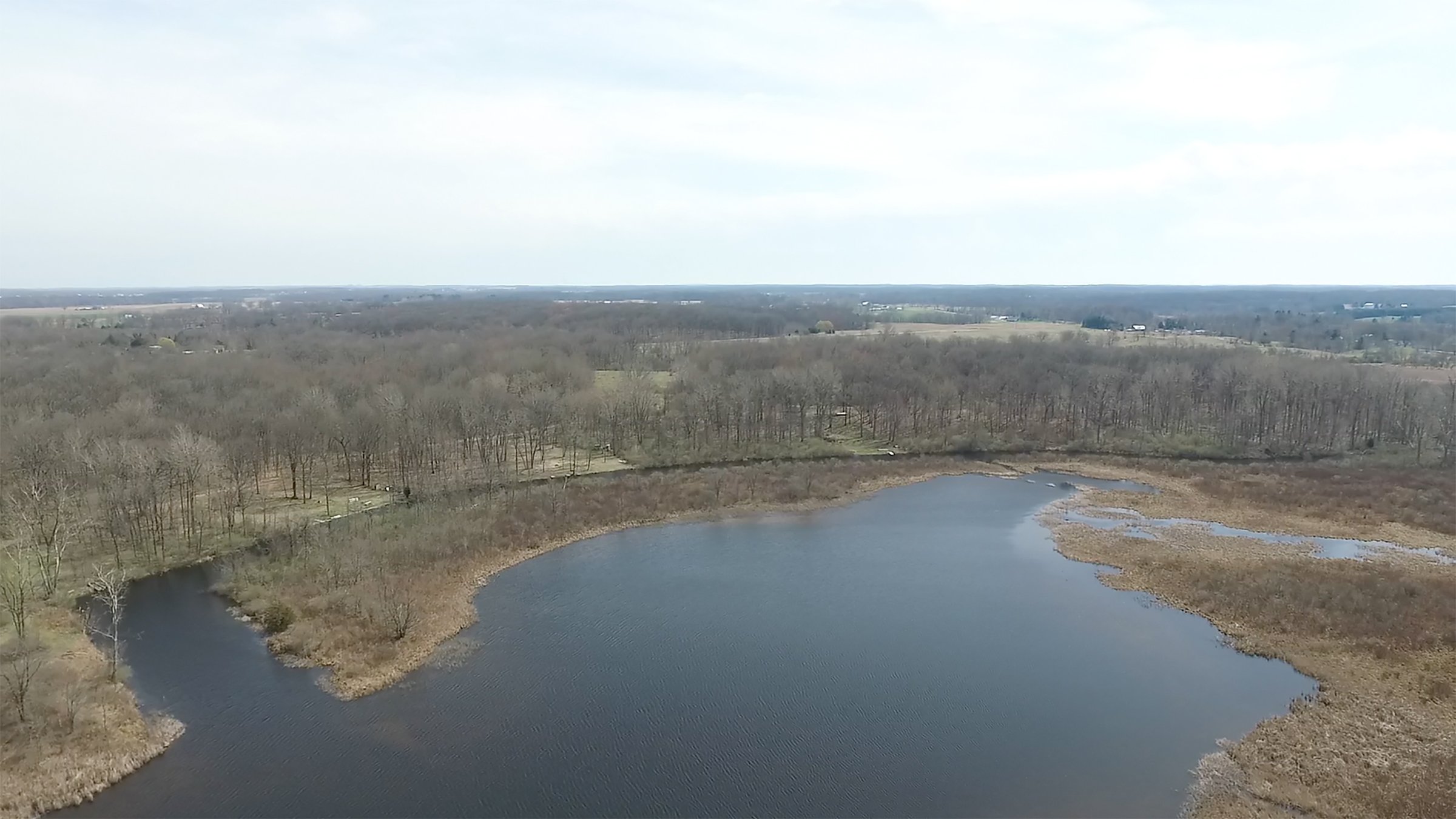 Property photo 8 - ONCE IN A LIFETIME OPPORTUNITY AUCTION - 183+/- ACRES IN 27 TRACTS IN BRANCH COUNTY, MICHIGAN